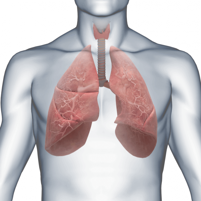 Thoracic surgery Thoracic surgery