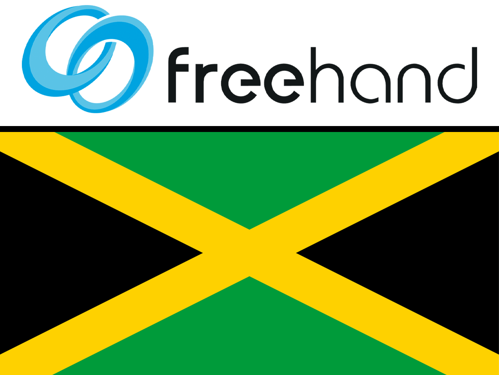Freehand Surgical Robotics Logo and Jamaican flag