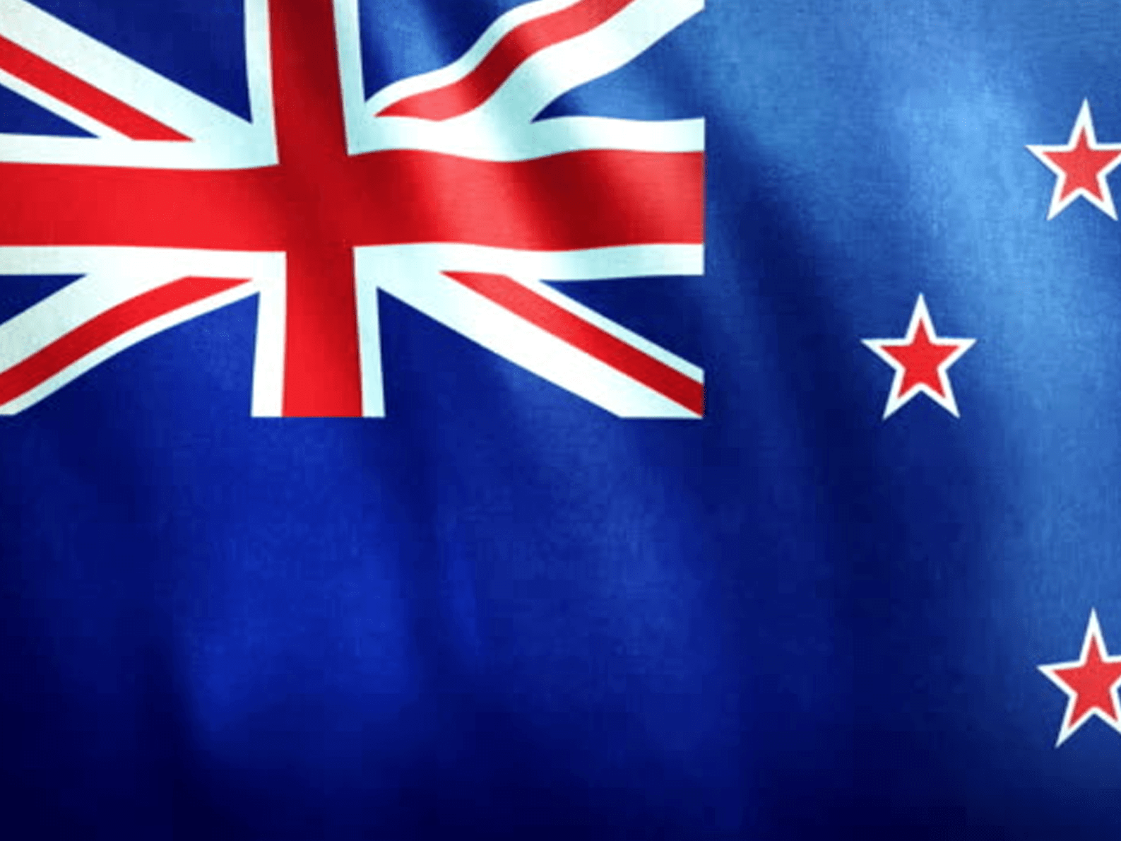 Freehand and surgical supplies logo with new zealand flag