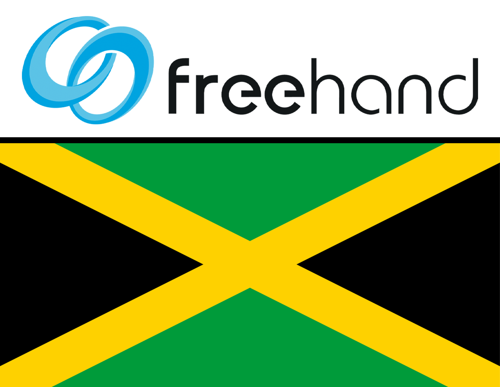 Freehand Surgical Robotics Logo and Jamaican flag