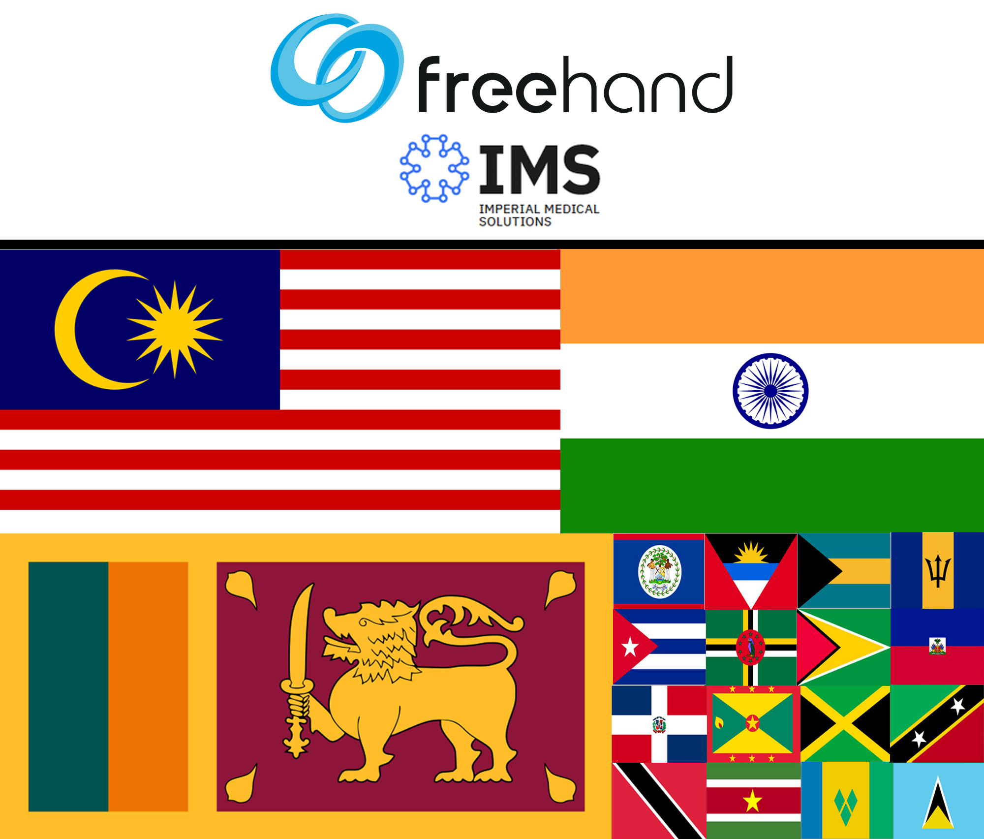 Flags and logo of imperial medical solutions and Freehand surgical robotics